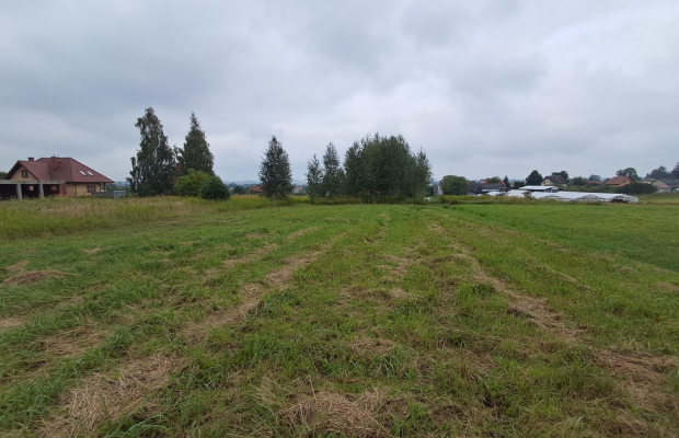 Opole Lubelskie - 1,24 ha - malownicza okolica