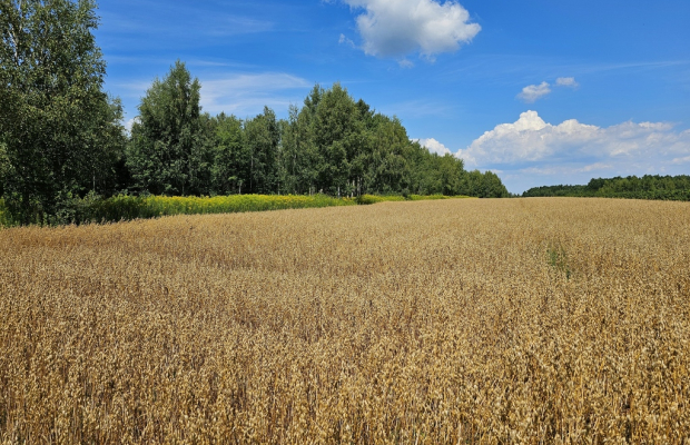 Karczmiska Drugie - ponad 33ar działki rolnej