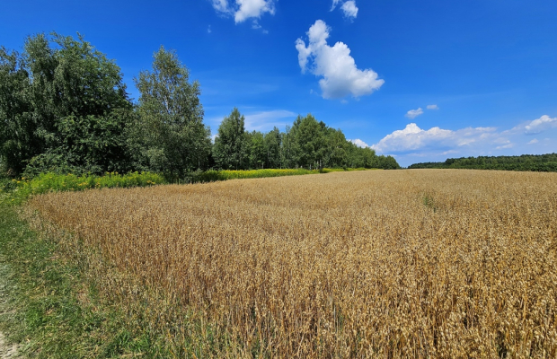 Karczmiska Drugie - ponad 33ar działki rolnej