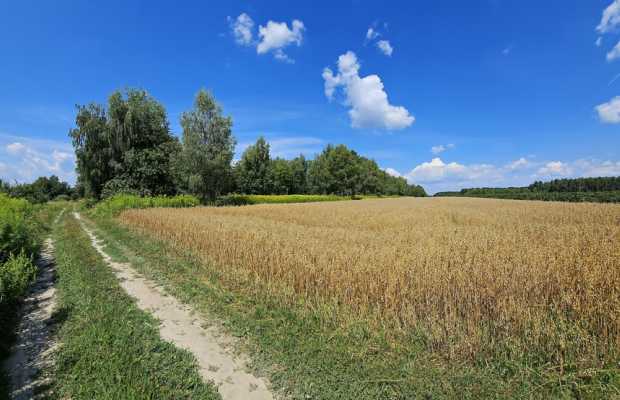 Karczmiska Drugie - ponad 33ar działki rolnej