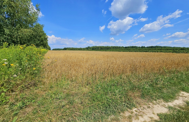 Karczmiska Drugie - ponad 33ar działki rolnej