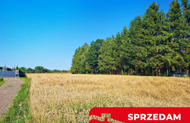 Ustawna działka budowlana 15ar - Zemborzyce Dolne