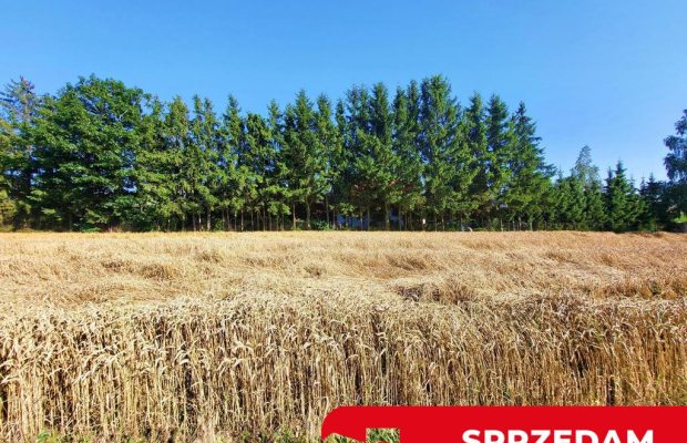 Ustawna działka budowlana 15ar - Zemborzyce Dolne