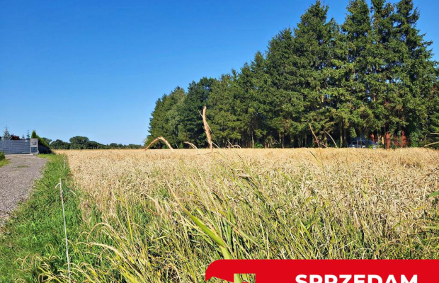 Ustawna działka budowlana 15ar - Zemborzyce Dolne