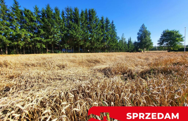 Ustawna działka budowlana 15ar - Zemborzyce Dolne