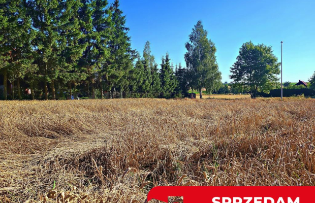 Ustawna działka budowlana 15ar - Zemborzyce Dolne