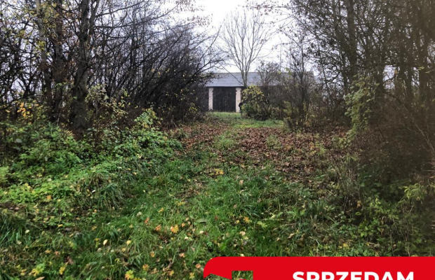 Anielpol - działka  5200m2