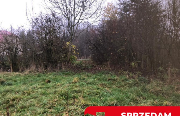 Anielpol - działka  5200m2