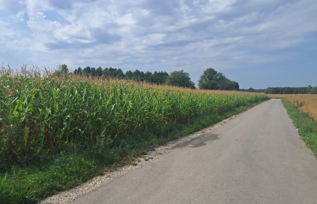 Malinówka, gm. Cyców - działka budowlana