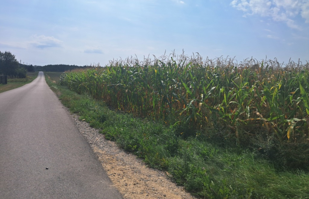 Malinówka, gm. Cyców - działka budowlana