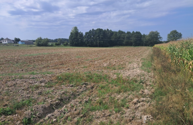 Malinówka, gm. Cyców - działka budowlana