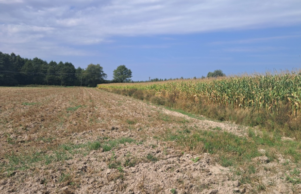 Malinówka, gm. Cyców - działka budowlana