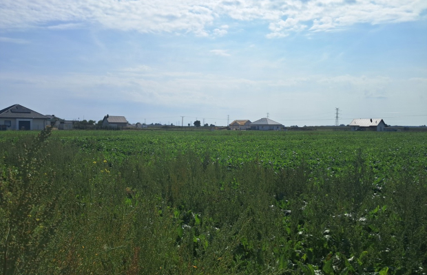 Uzbrojona działka. Gm. Puchaczów