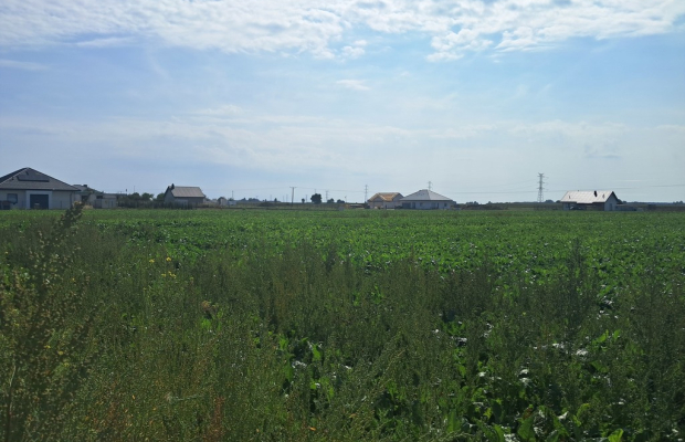 Działka budowalna 16a - Gm. Puchaczów - Turowola.