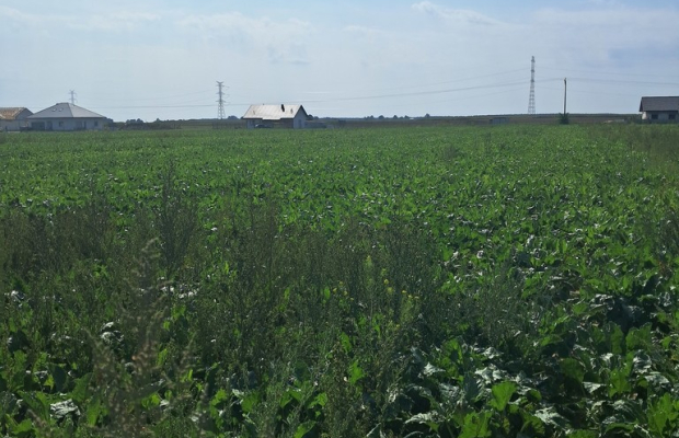 Działka budowalna 16a - Gm. Puchaczów - Turowola.