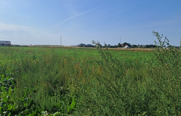 Działka budowalna 16a - Gm. Puchaczów - Turowola.