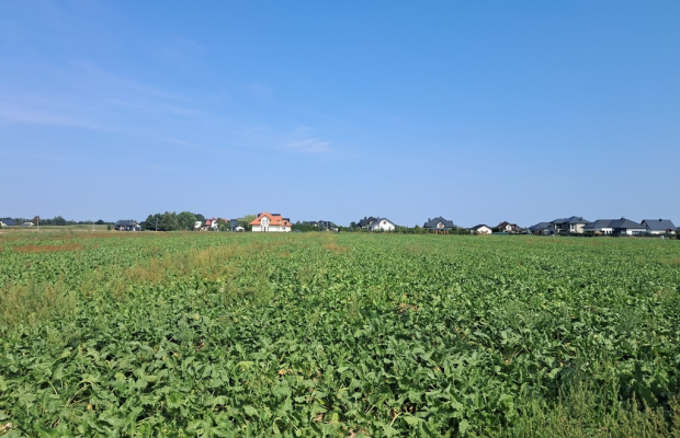 Działka budowalna 16a - Gm. Puchaczów - Turowola.
