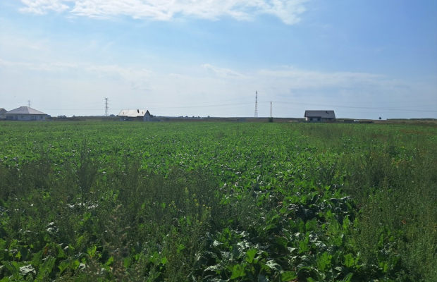 Działka budowalna 16a - Gm. Puchaczów - Turowola.