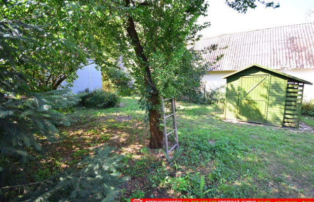 Przytulny domek z ogródkiem.