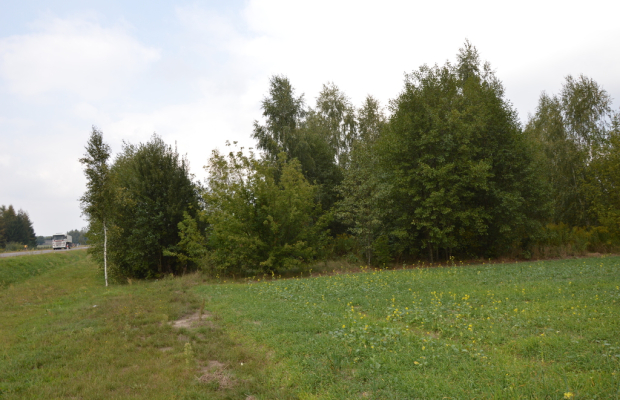 Działka rolna, Brzeźnica Książęca Kolonia, 1,77 ha