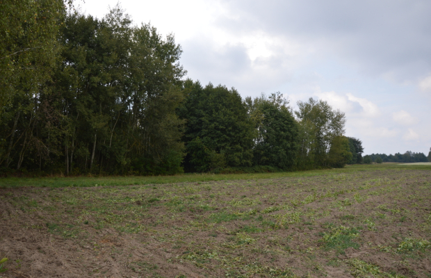 Działka rolna, Brzeźnica Książęca Kolonia, 1,77 ha