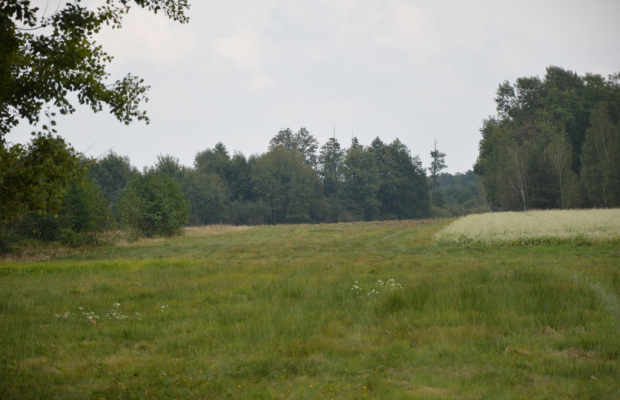 Działka rolna, Brzeźnica Książęca Kolonia, 1,77 ha