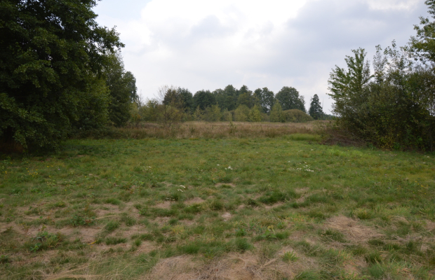 Działka rolna, Brzeźnica Książęca Kolonia, 1,77 ha
