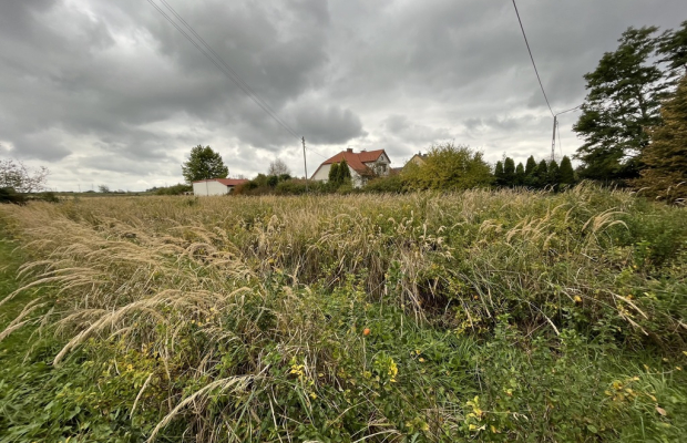 Działka budowlano-usługowa w Końskowoli gm. Puławy