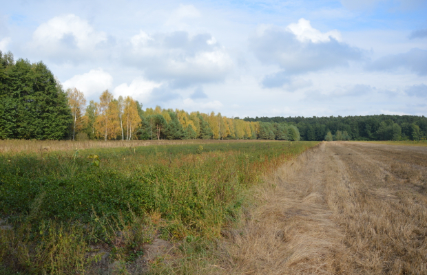 Działka, Klarów, 1,09 ha