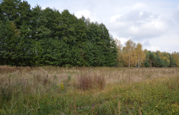 Działka, Klarów, 1,09 ha