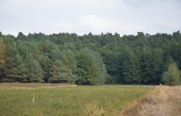 Działka, Klarów, 1,09 ha