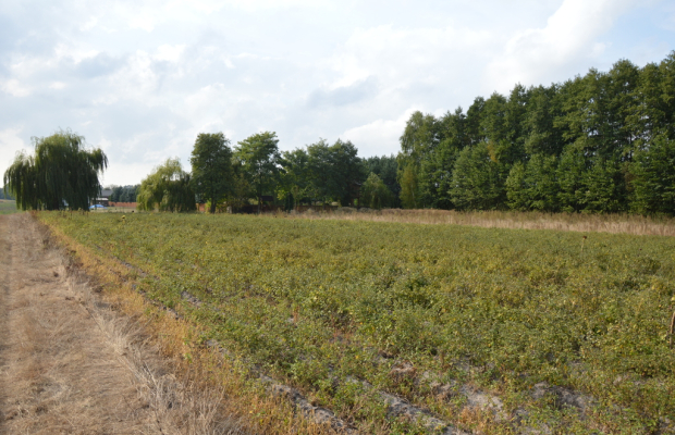 Działka, Klarów, 1,09 ha