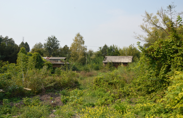 Działka budowlana, Urzędów, centrum, 25 a
