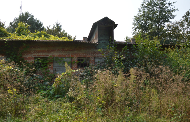 Działka budowlana, Urzędów, centrum, 25 a