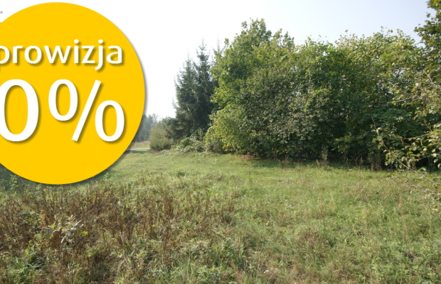 Działka 16 ar w miejsc. Gołąb pow. Lubartowski