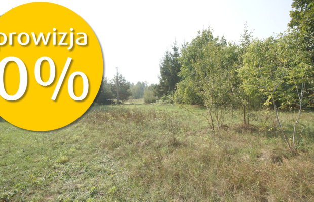 Działka 16 ar w miejsc. Gołąb pow. Lubartowski