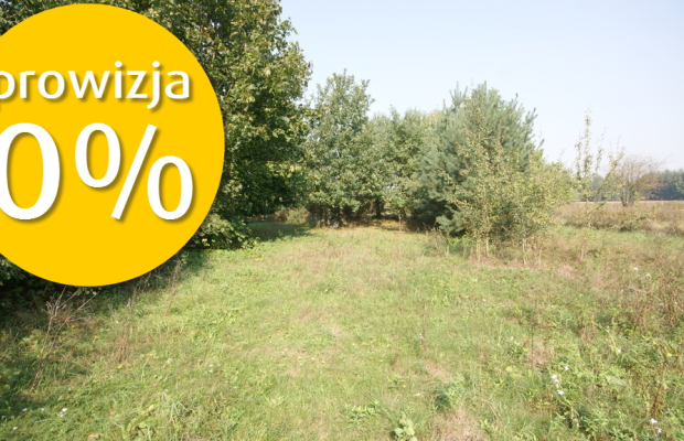 Działka 16 ar w miejsc. Gołąb pow. Lubartowski