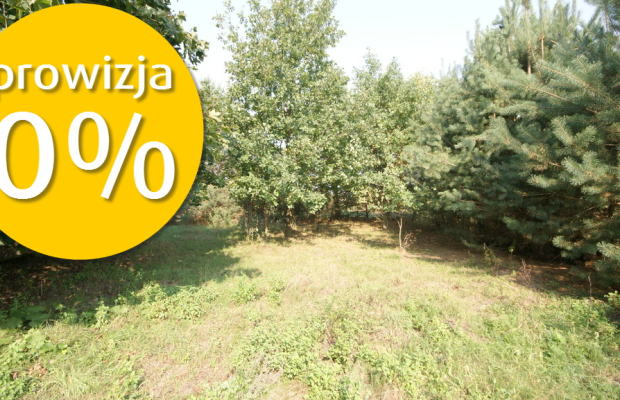 Działka 16 ar w miejsc. Gołąb pow. Lubartowski