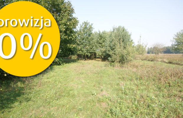 Działka 16 ar w miejsc. Gołąb pow. Lubartowski