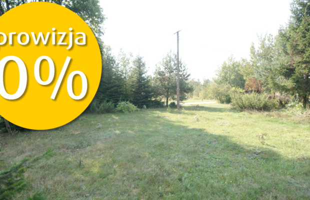 Działka 16 ar w miejsc. Gołąb pow. Lubartowski
