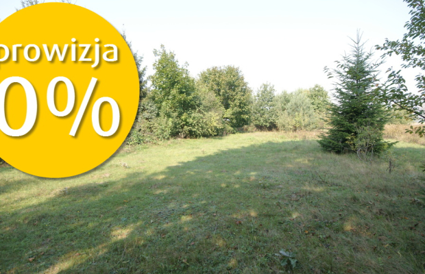 Działka 16 ar w miejsc. Gołąb pow. Lubartowski