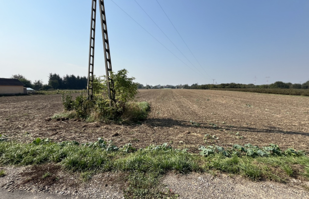Działka rolno-budowlana 0,31 ha w Gołębiu k/Puław.