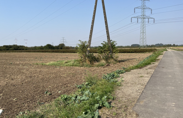 Działka rolno-budowlana 0,31 ha w Gołębiu k/Puław.