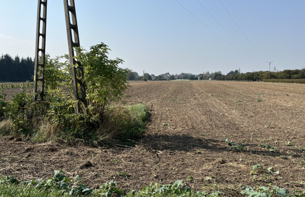 Działka rolno-budowlana 0,62 ha w Gołębiu k/Puław.
