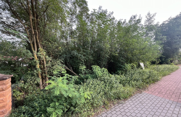 Działka budowlana Wola Chodkowska gm. Kozienice...