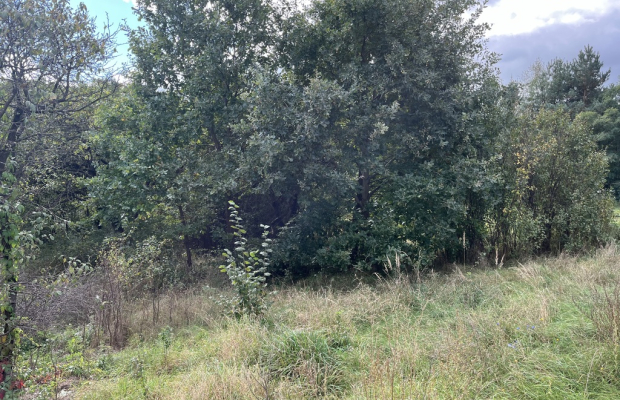 Działka 1441 m2 prze drodze 747 w Lipie Miklas.