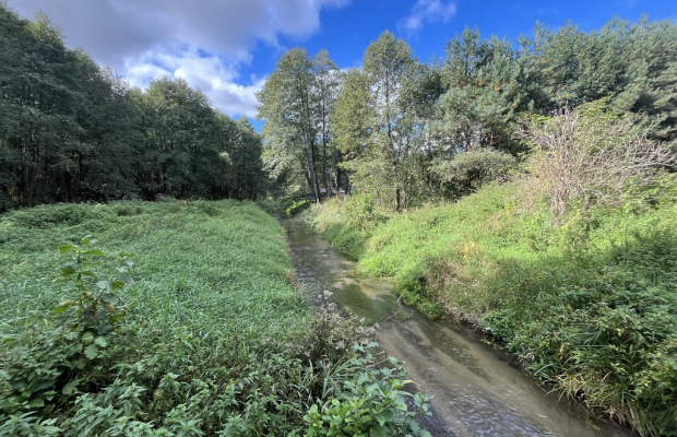Działka 1441 m2 prze drodze 747 w Lipie Miklas.