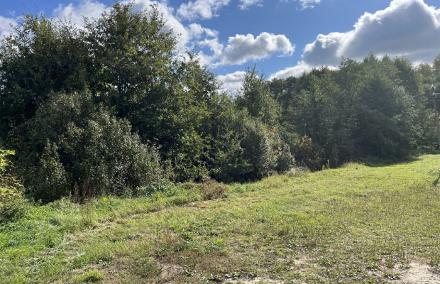Działka 1441 m2 prze drodze 747 w Lipie Miklas.
