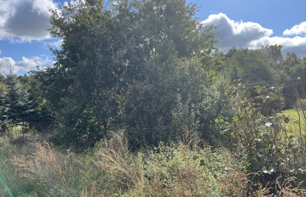 Działka 1441 m2 prze drodze 747 w Lipie Miklas.