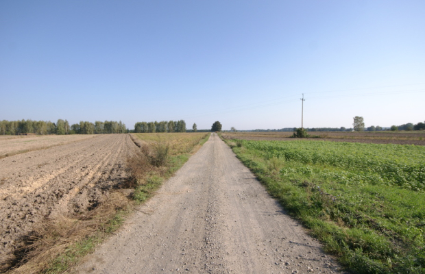 Działka rolno budowlana 96a Rudka Gołębska